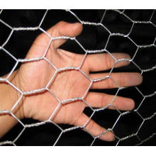 Galvanizado Hexagonal Wire Mesh / PVC Coated Hexagonal Wire Netting